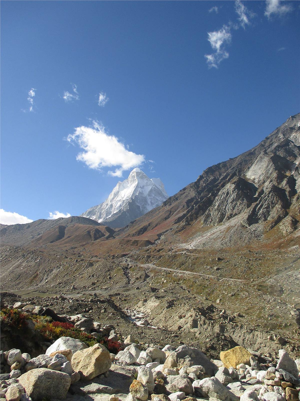 Gaumukh Tapovan