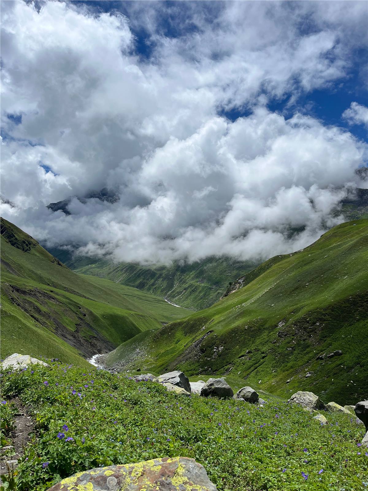 Valley of Flowers